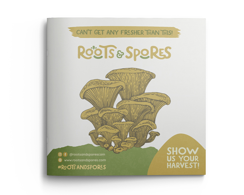 Roots Spores Branding