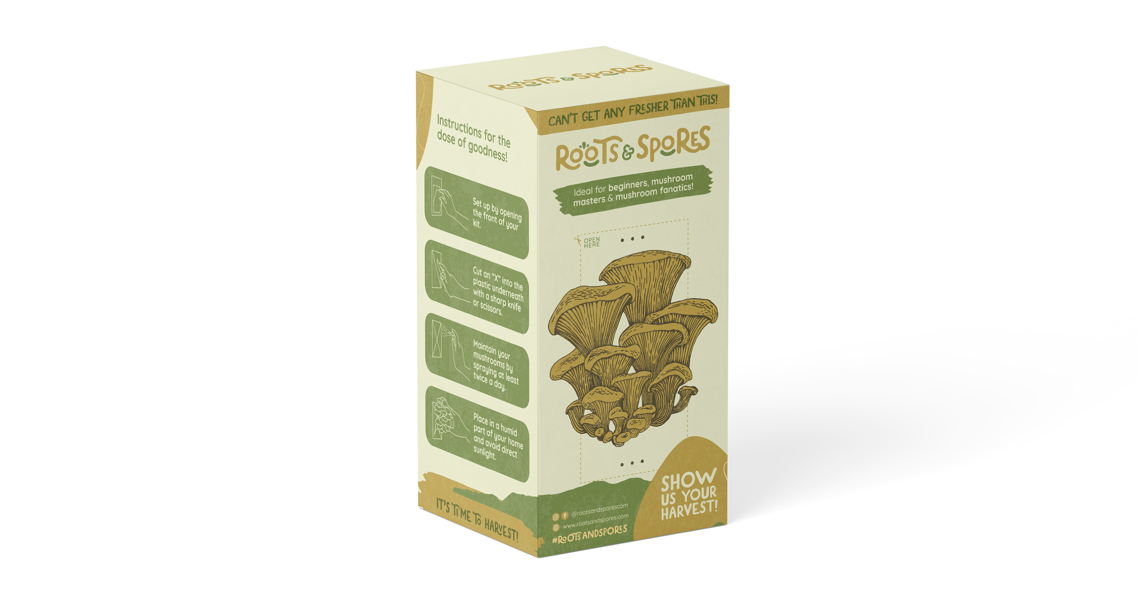 Roots Spores Branding