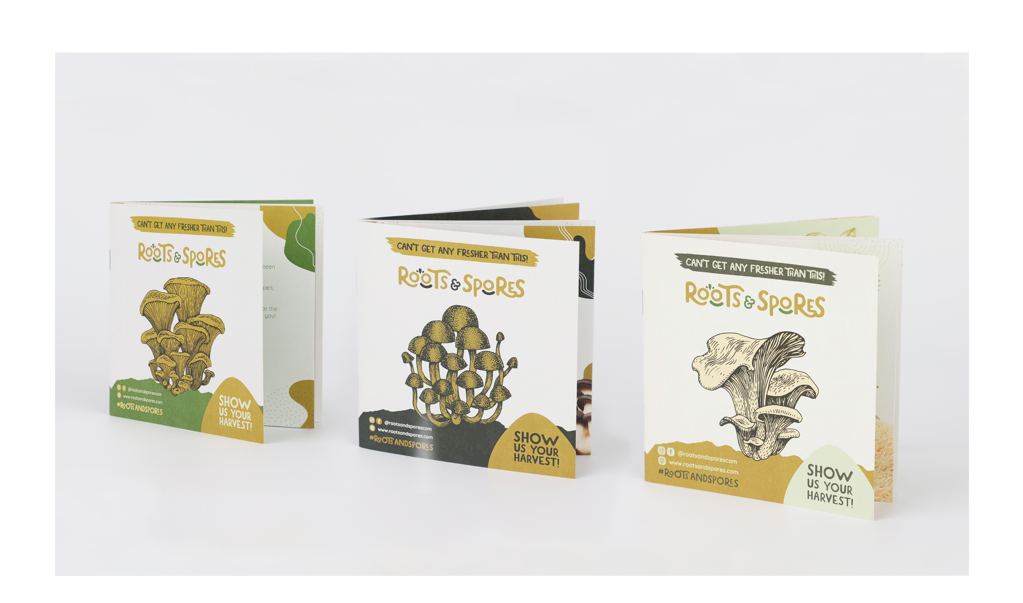 Roots Spores Branding