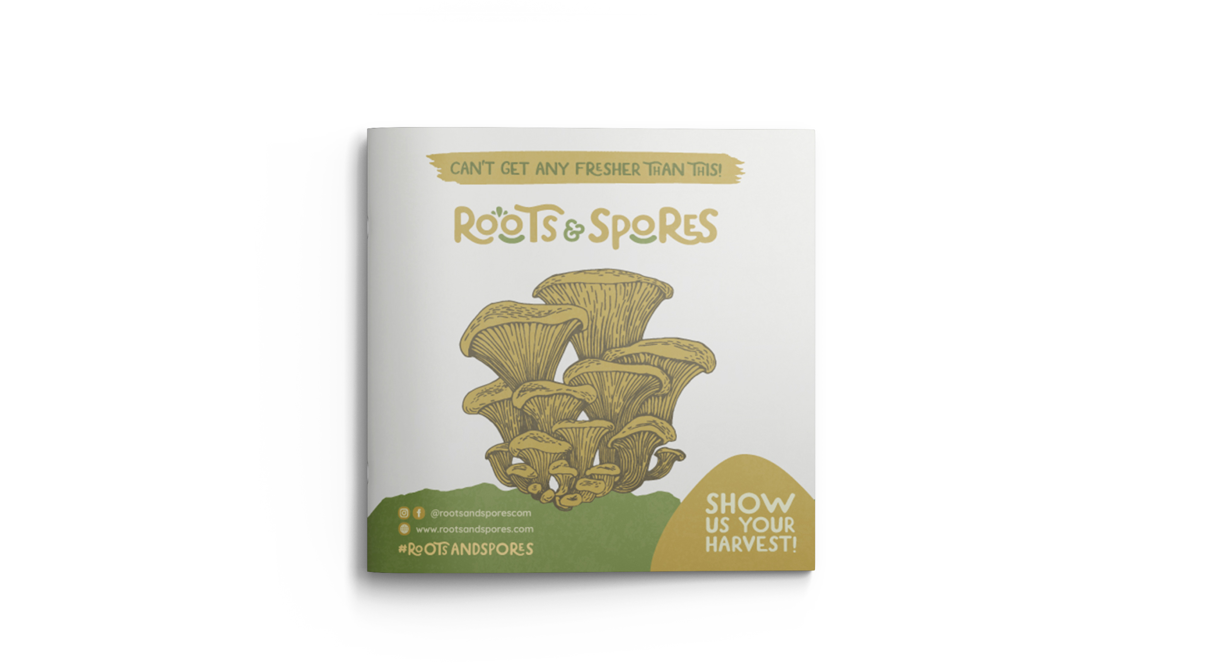 Roots Spores Branding