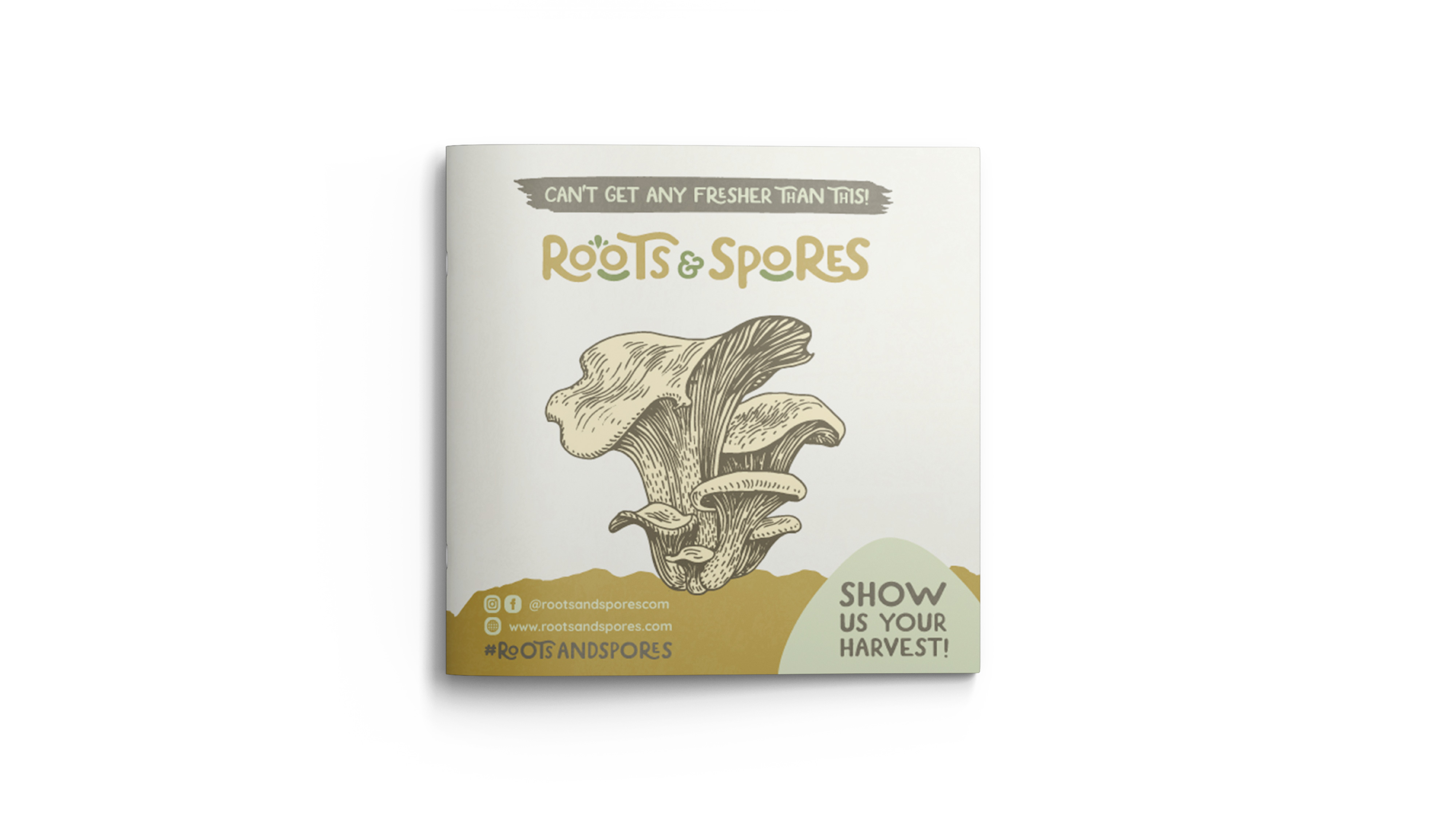 Roots Spores Branding